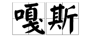 “嘎斯”是什么意思？