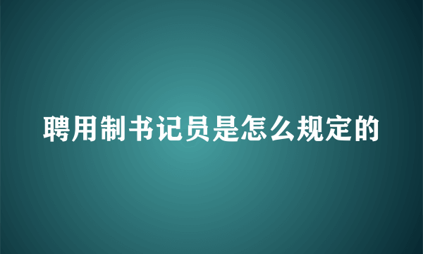 聘用制书记员是怎么规定的