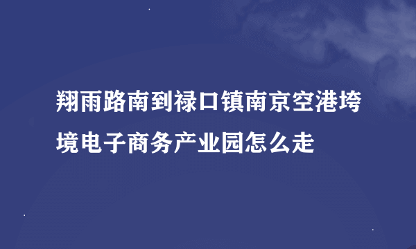 翔雨路南到禄口镇南京空港垮境电子商务产业园怎么走