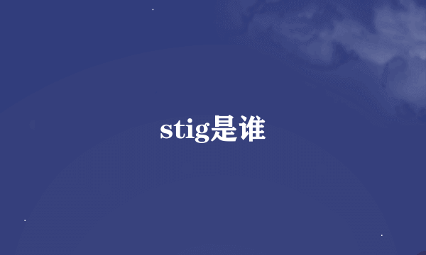 stig是谁