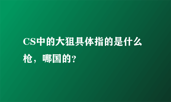 CS中的大狙具体指的是什么枪，哪国的？