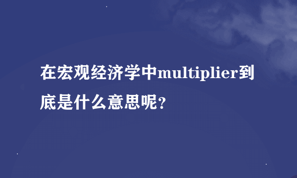 在宏观经济学中multiplier到底是什么意思呢？