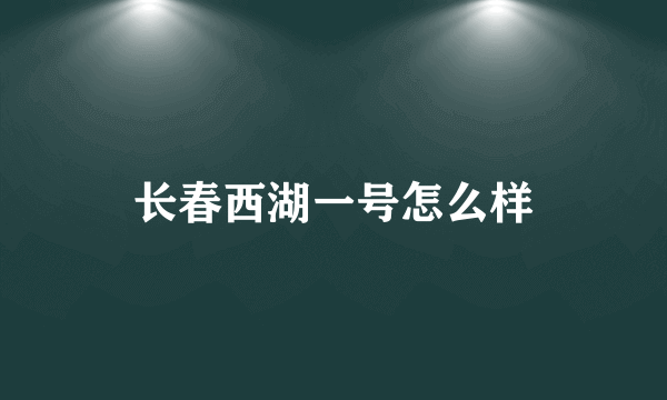 长春西湖一号怎么样