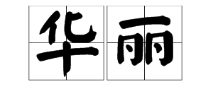 “华丽”的近义词是什么？