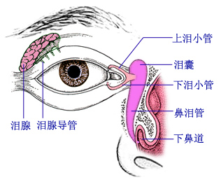 如何泪道冲洗