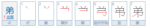 弟的笔顺是