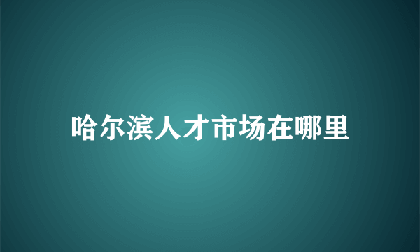 哈尔滨人才市场在哪里