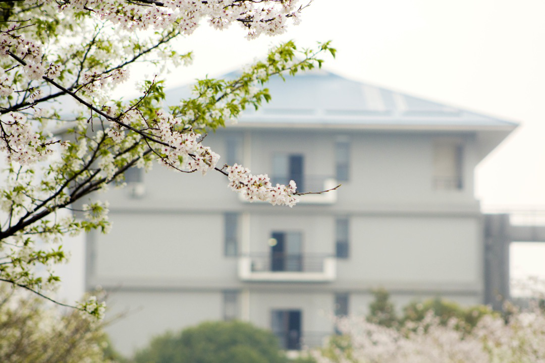 湖北中医药大学评价