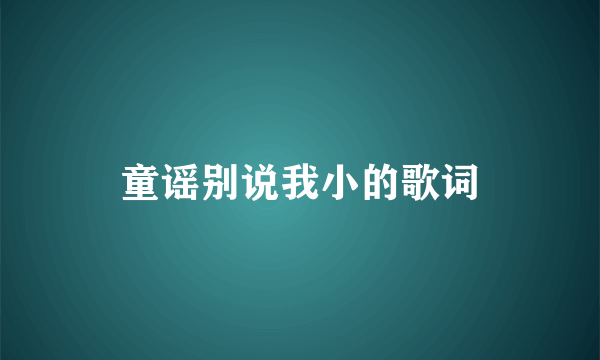 童谣别说我小的歌词