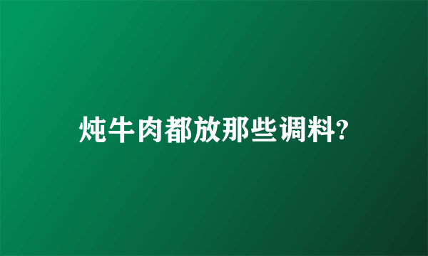 炖牛肉都放那些调料?