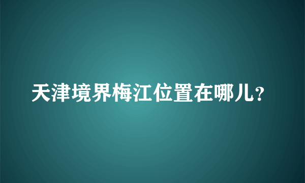 天津境界梅江位置在哪儿？