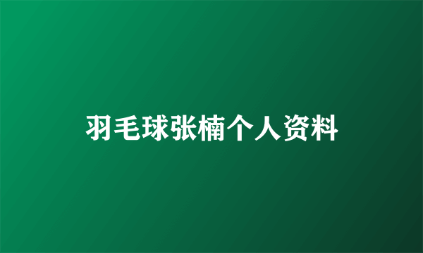 羽毛球张楠个人资料