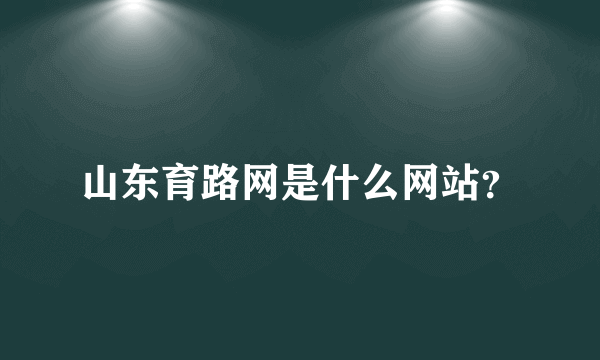 山东育路网是什么网站？