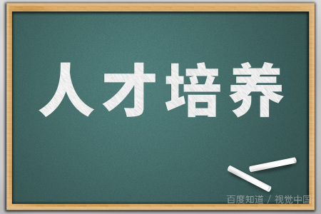 计算机科学与技术嵌入式培养是什么意思?