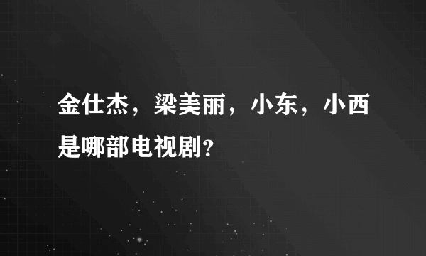 金仕杰，梁美丽，小东，小西是哪部电视剧？