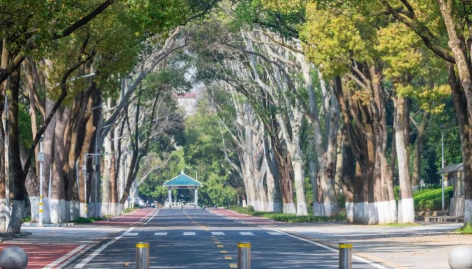 华中师范大学怎么样？它的师资力量很强吗？