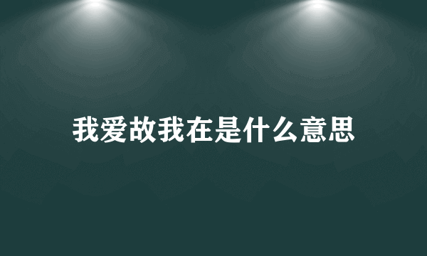 我爱故我在是什么意思