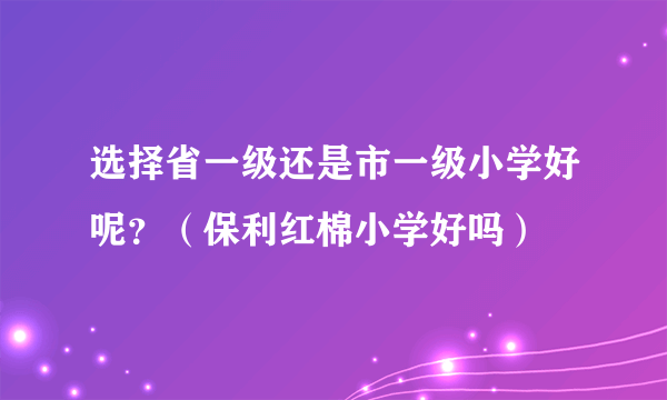 选择省一级还是市一级小学好呢？（保利红棉小学好吗）