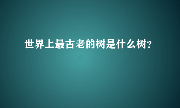 世界上最古老的树是什么树？