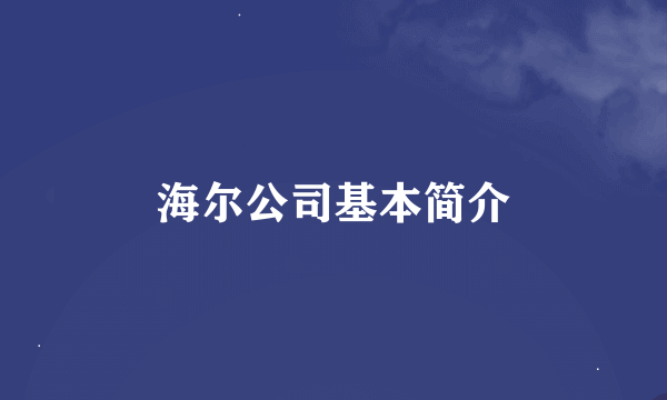 海尔公司基本简介