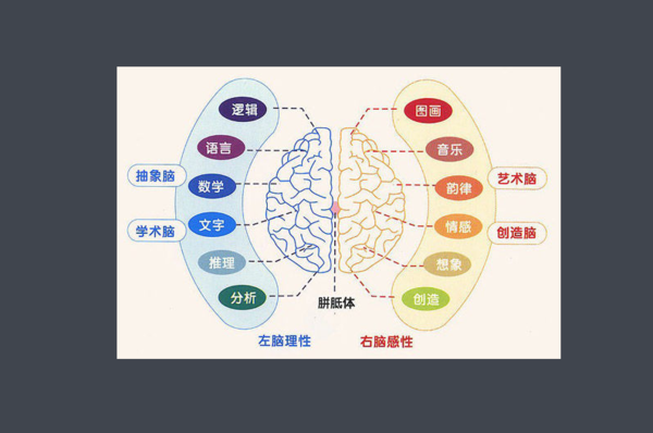 左脑比较发达的人都有那些特点