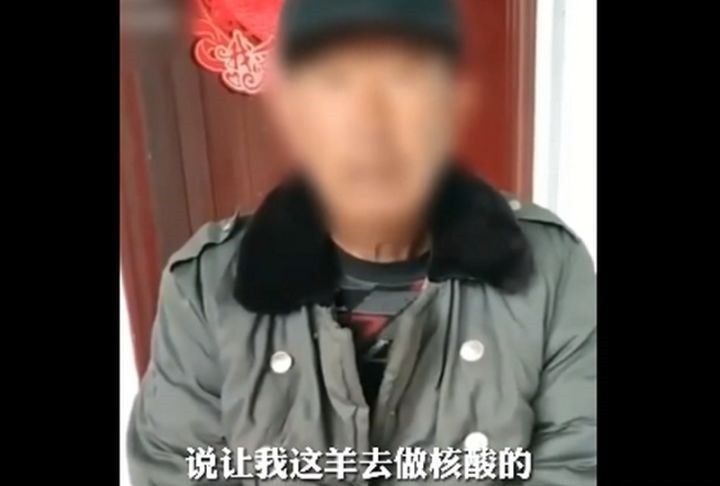 给羊做核酸事件是怎么回事？