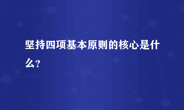 坚持四项基本原则的核心是什么？