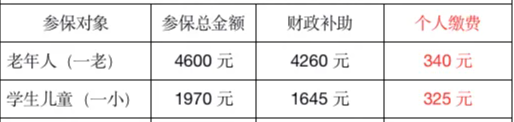 办理北京“一老一小”参保手续，缴费标准是什么？如何缴费？