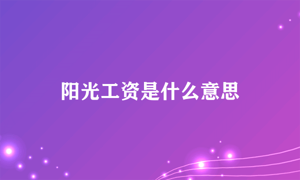 阳光工资是什么意思