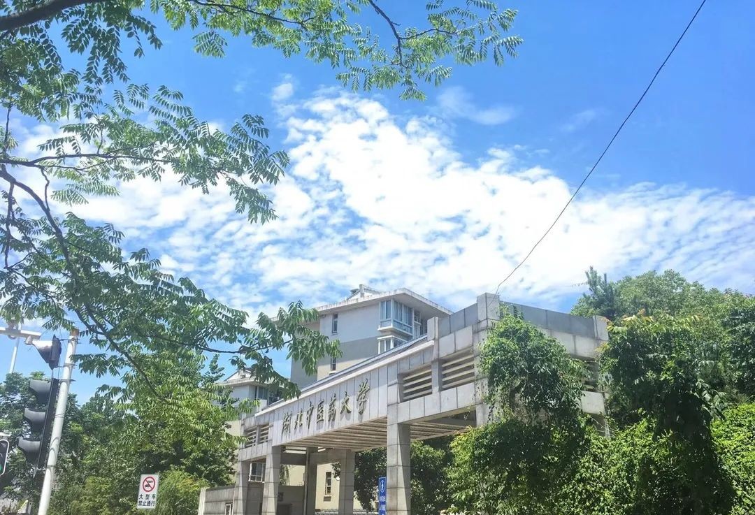 湖北中医药大学评价