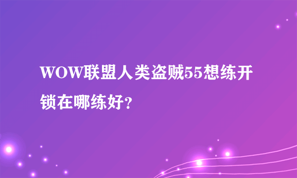 WOW联盟人类盗贼55想练开锁在哪练好？