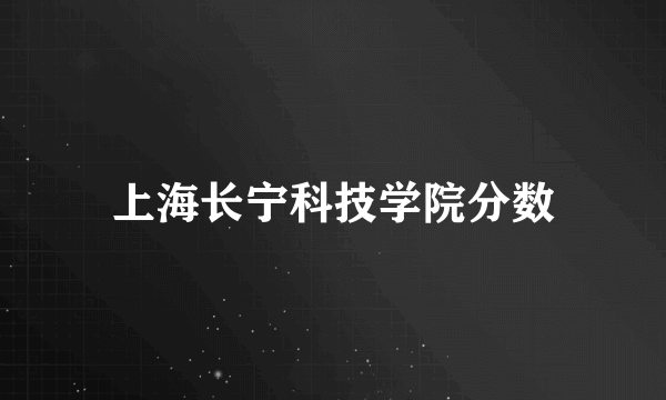 上海长宁科技学院分数