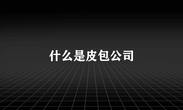 什么是皮包公司