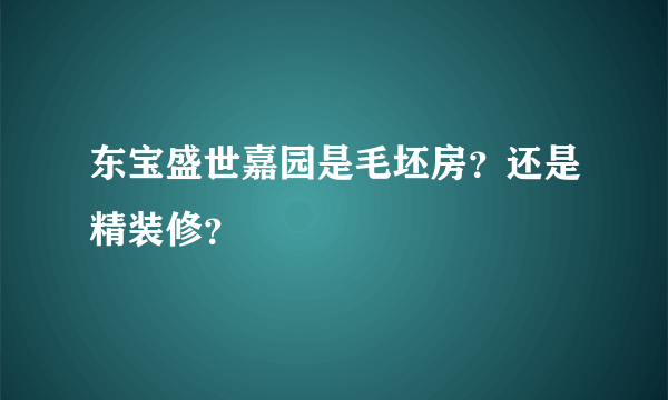 东宝盛世嘉园是毛坯房？还是精装修？