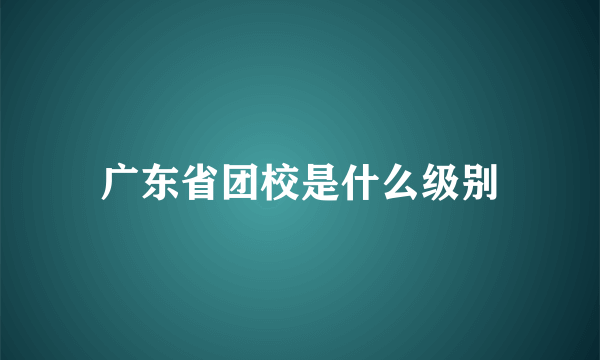 广东省团校是什么级别