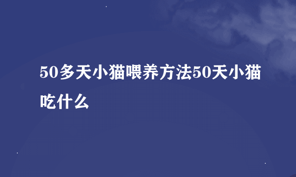 50多天小猫喂养方法50天小猫吃什么