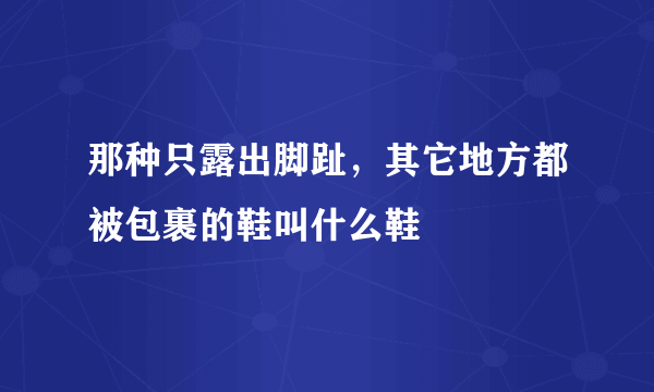 那种只露出脚趾，其它地方都被包裹的鞋叫什么鞋