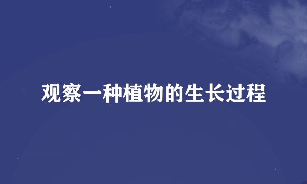 观察一种植物的生长过程