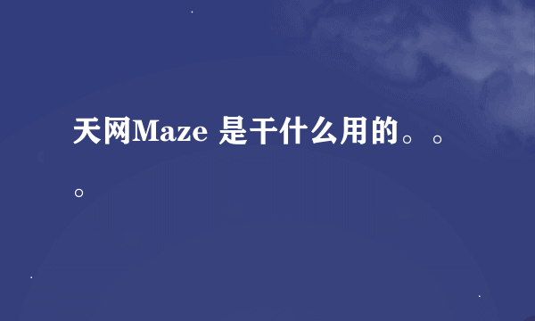 天网Maze 是干什么用的。。。