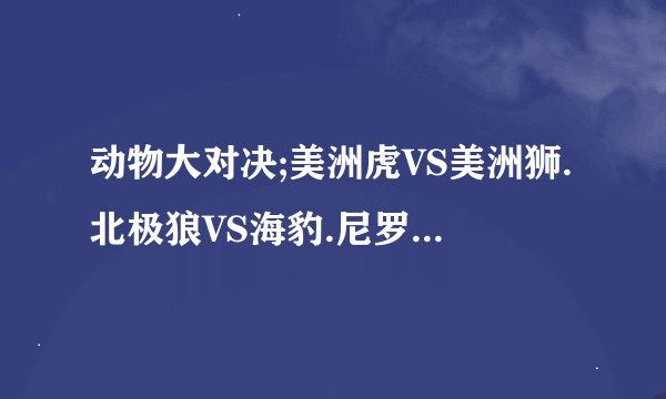 动物大对决;美洲虎VS美洲狮.北极狼VS海豹.尼罗鳄鱼VS狮子.北极熊VS海象.雕VS鹰