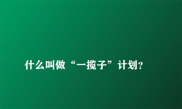 
什么叫做“一揽子”计划？

