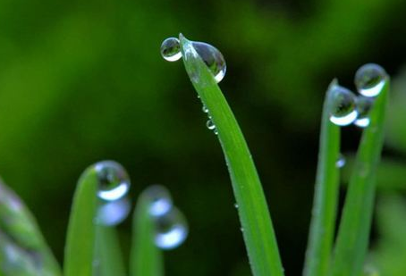 什么的春雨 填形容词