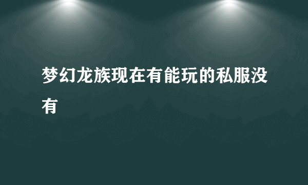 梦幻龙族现在有能玩的私服没有