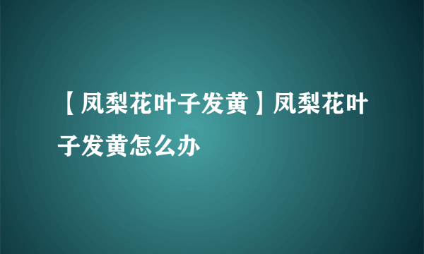 【凤梨花叶子发黄】凤梨花叶子发黄怎么办