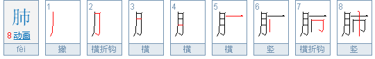 肺字笔顺怎么写