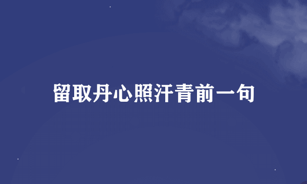 留取丹心照汗青前一句