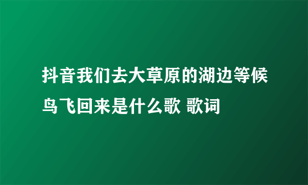 抖音我们去大草原的湖边等候鸟飞回来是什么歌 歌词