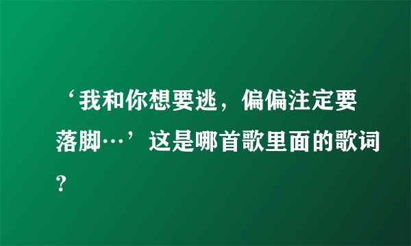 ‘我和你想要逃，偏偏注定要落脚…’这是哪首歌里面的歌词？