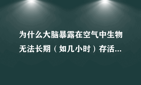 为什么大脑暴露在空气中生物无法长期（如几小时）存活？请告诉我原因，谢谢。