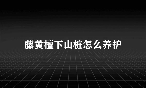 藤黄檀下山桩怎么养护